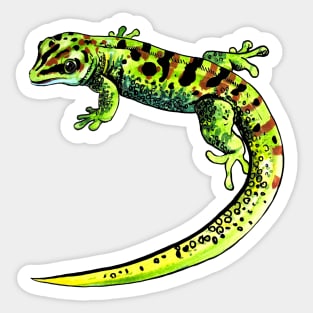 gecko Phelsuma Sticker